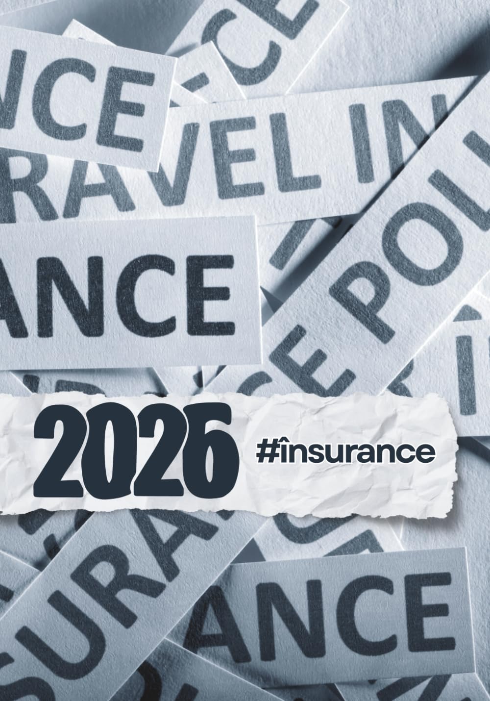 Insurance Agent Planner 2026 | Dream Planner Co. — Focus Grey Edition | Strategic Daily Planner for Sales Professionals (Discipline, Results & ... focus — track calls, clients and commissions