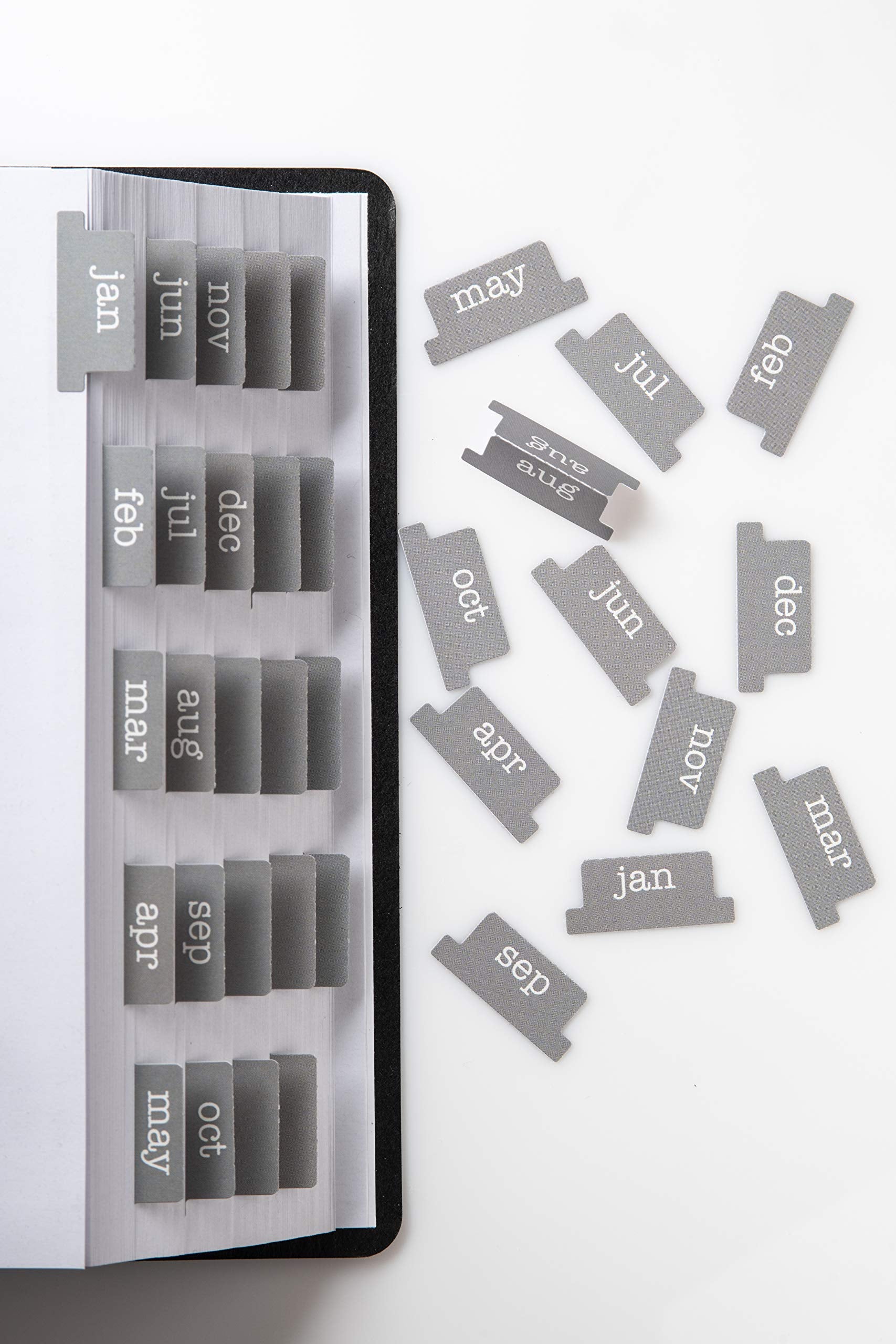 DiverseBee Laminated Planner, 24 Peel and Stick Tabs (12 Month, 12 Blank), Retro Monthly Dividers