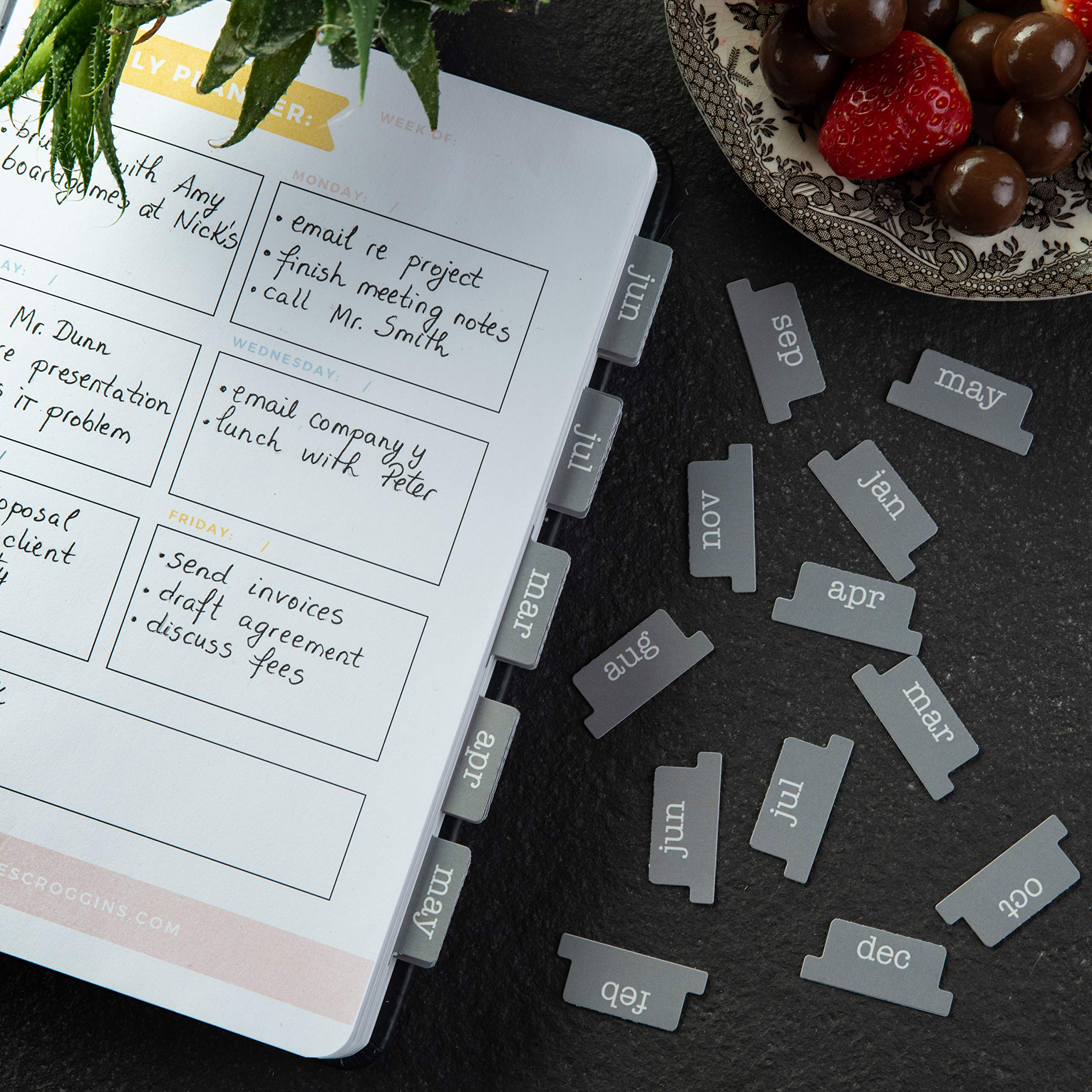 DiverseBee Laminated Planner, 24 Peel and Stick Tabs (12 Month, 12 Blank), Retro Monthly Dividers