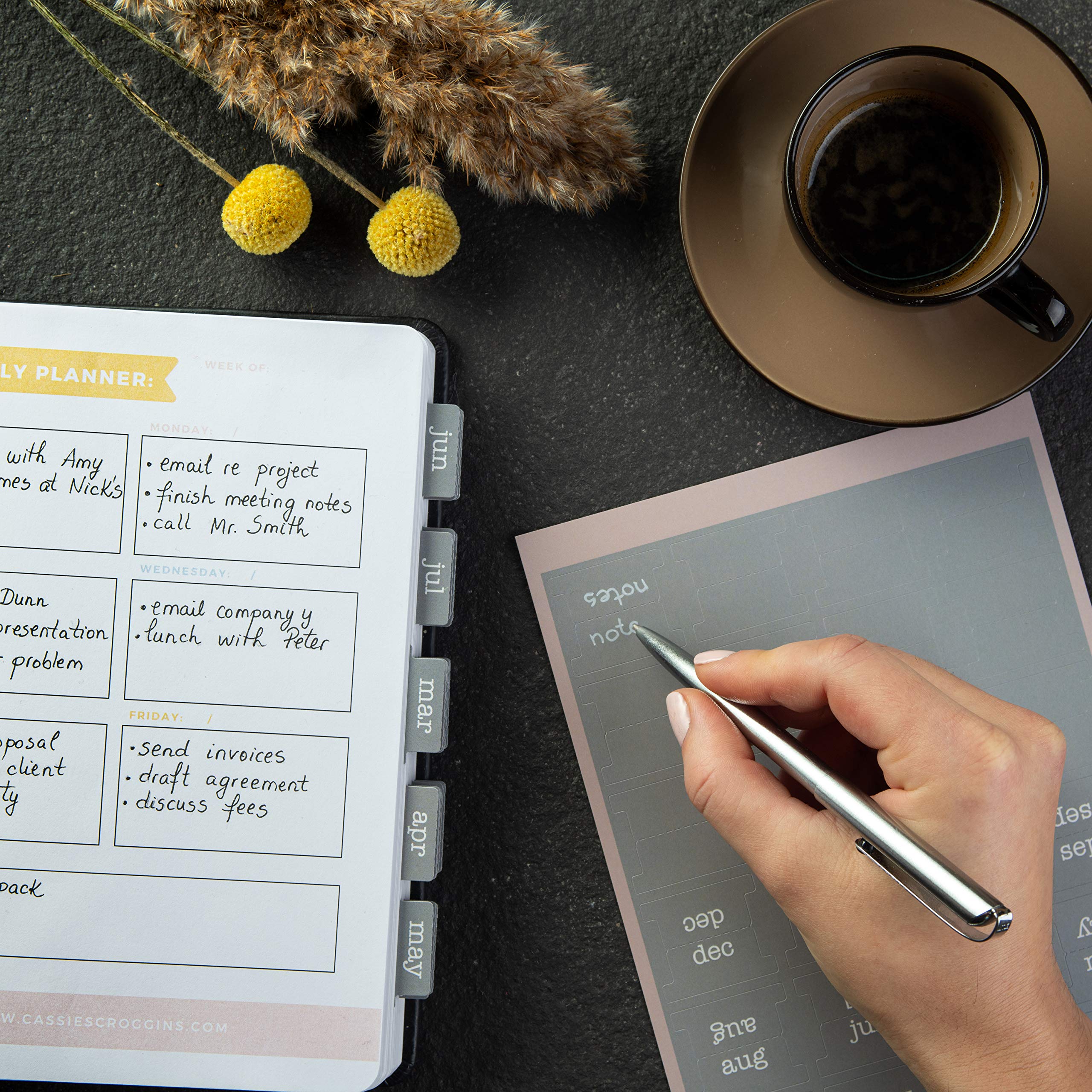 DiverseBee Laminated Planner, 24 Peel and Stick Tabs (12 Month, 12 Blank), Retro Monthly Dividers