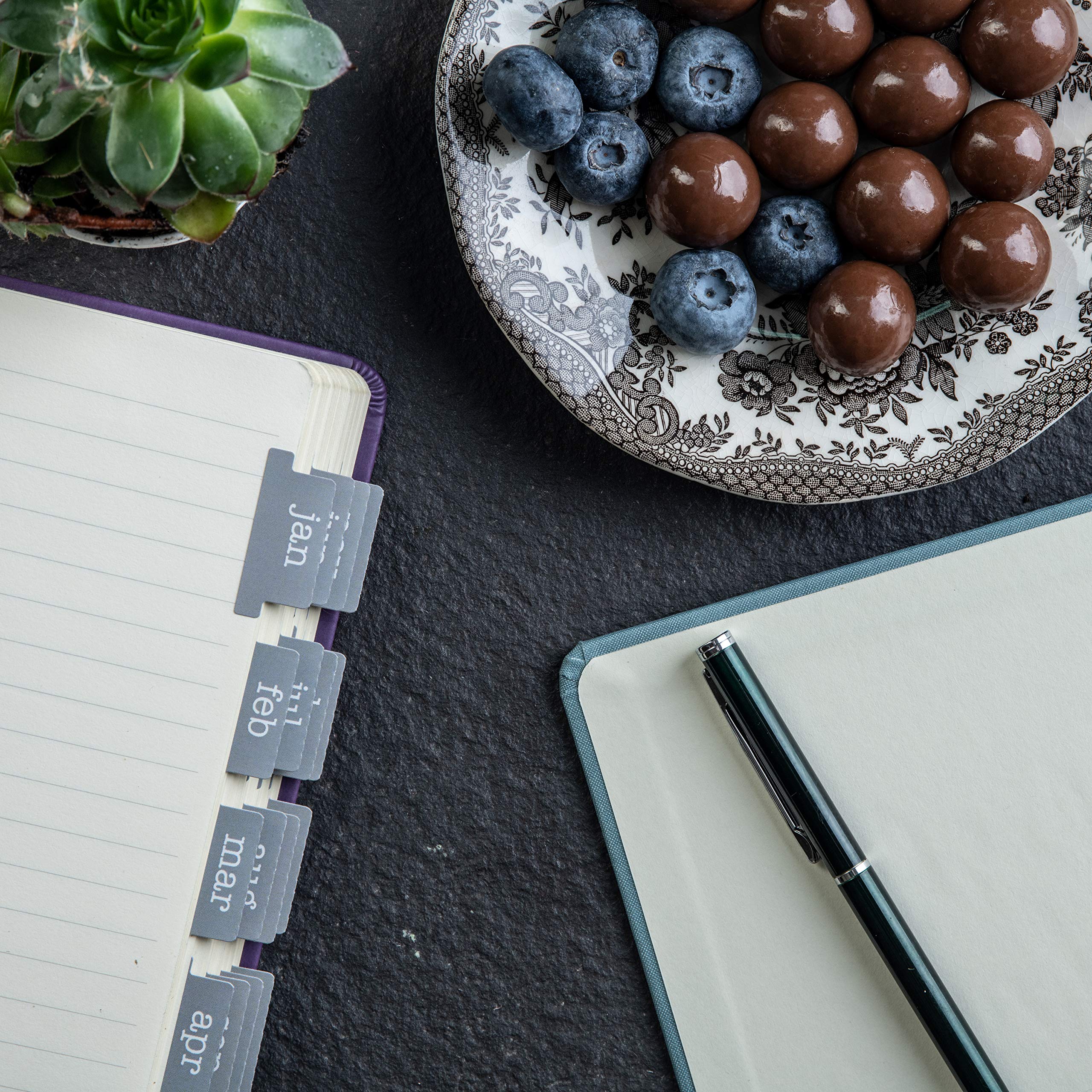 DiverseBee Laminated Planner, 24 Peel and Stick Tabs (12 Month, 12 Blank), Retro Monthly Dividers